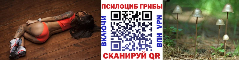 MEGA как зайти  где купить наркоту  Егорьевск  Галлюциногенные грибы ЛСД 